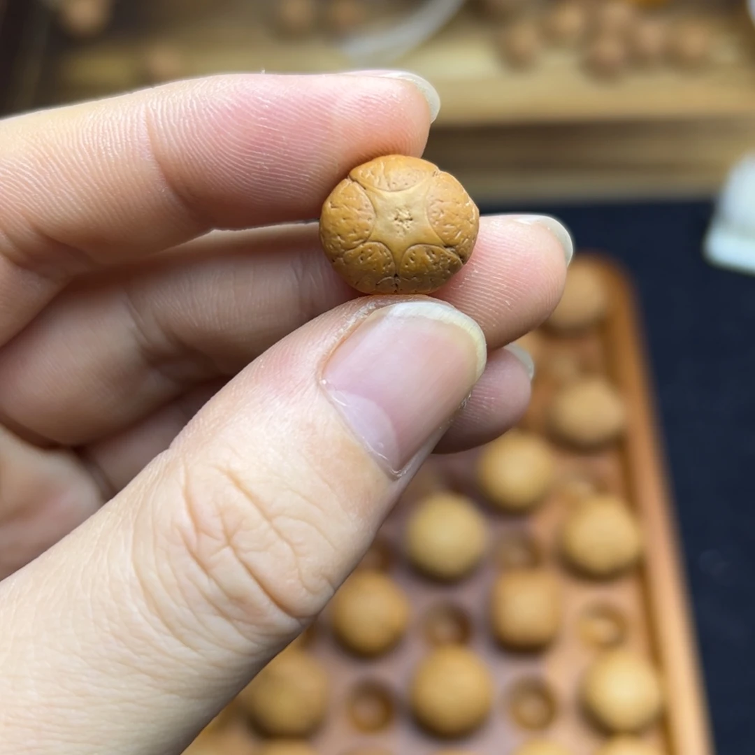 凤眼菩提手串15.6五星上将