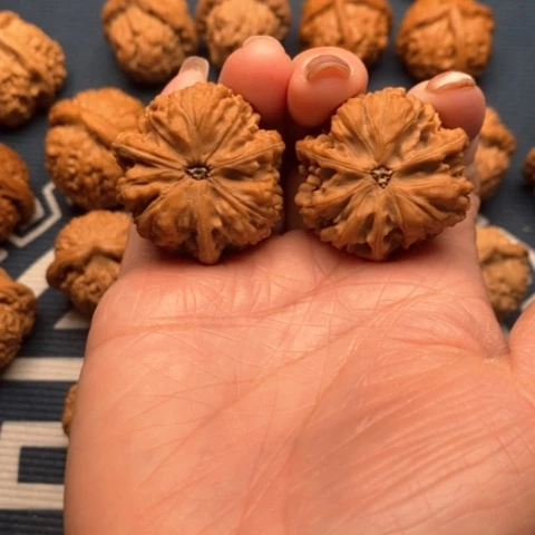 橄榄核手串/手链子*文山35