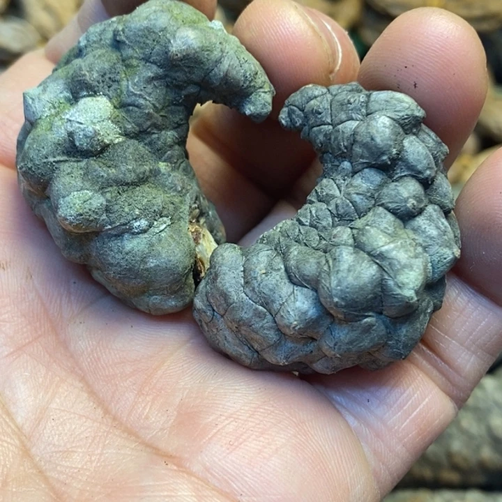 桃核吊坠娜姐真的24