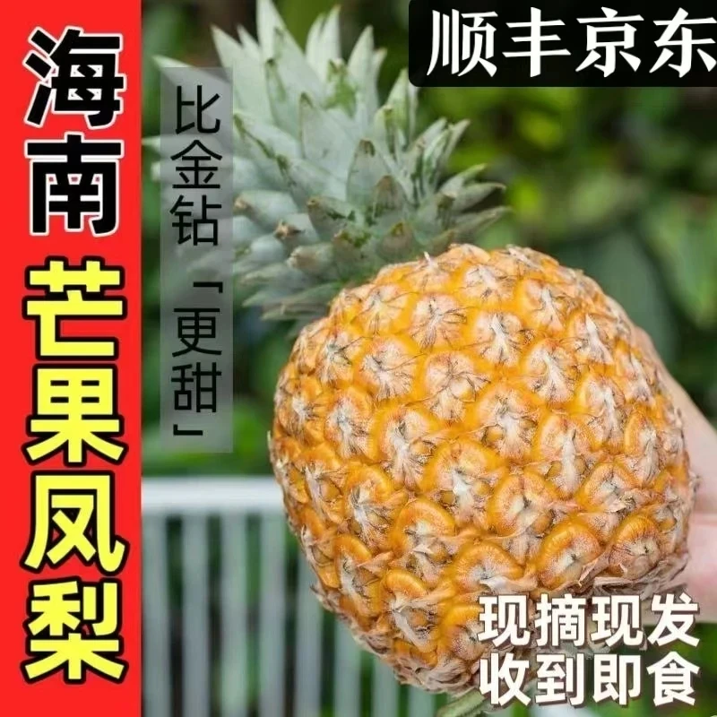 海南芒果凤梨自然熟香甜多汁入口细腻新鲜热带水果