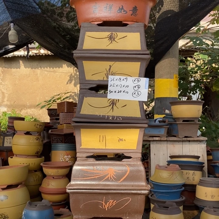 紫砂花盆紫砂特疼，紫砂