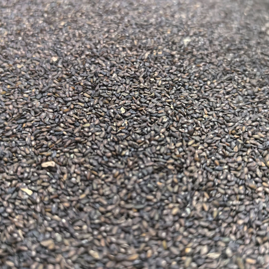 车前籽大别山农家自制 （散称包装 介意勿拍）