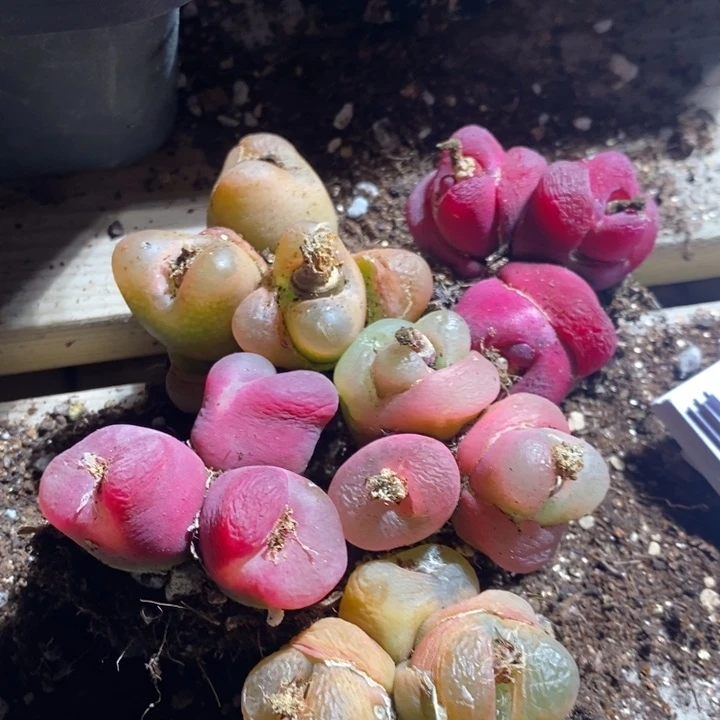 27222有伤一组一组