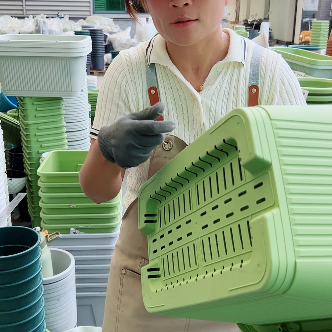 菜盆500#果绿色3个无托