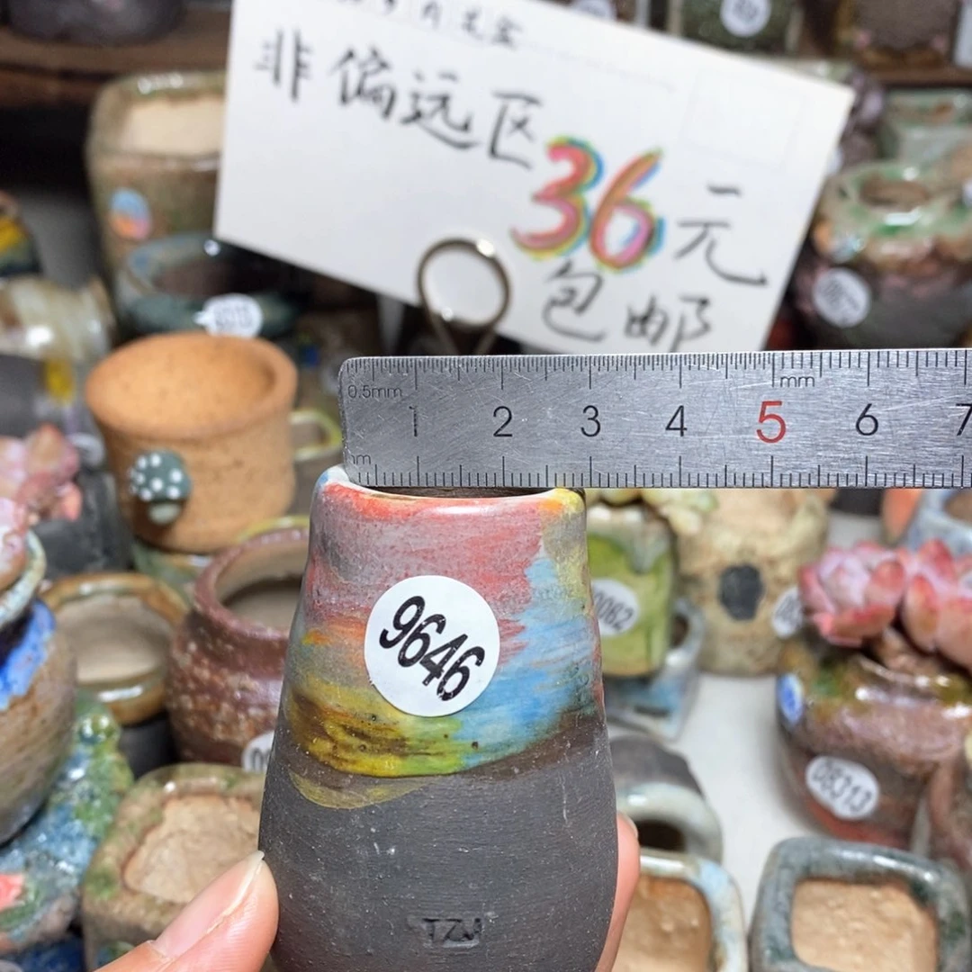 花盆拍5送一个小礼物