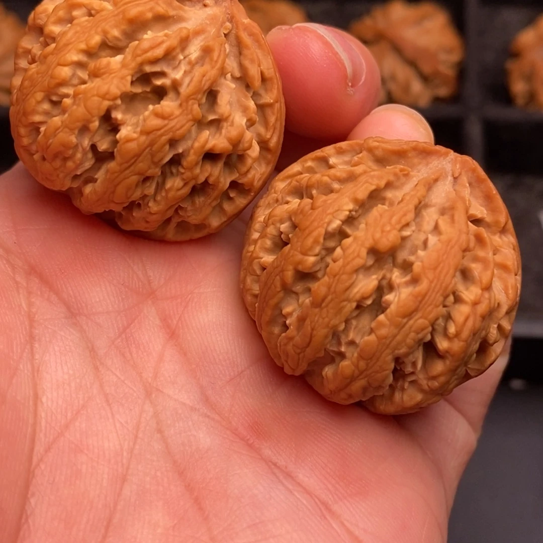 文玩核桃把件秦岭野生核桃