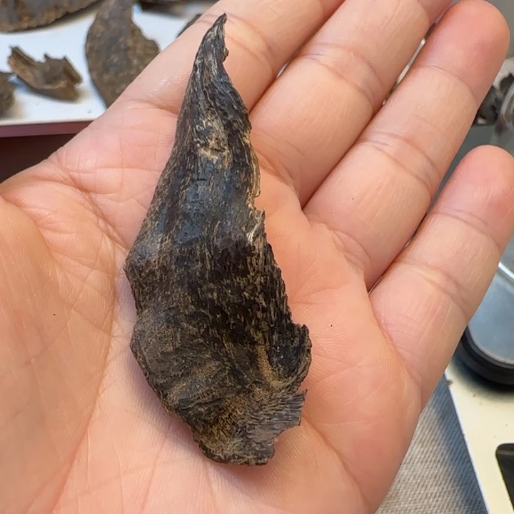 摆件沉香沉水海南包头1.2克