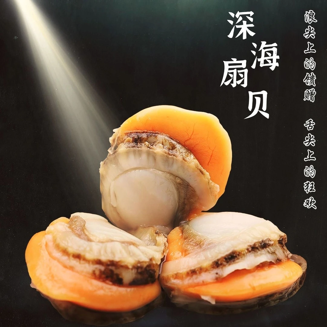 【5斤一箱】pz顺丰次日达新单到家不添加无泥无沙40-60规格扇贝海鲜肉