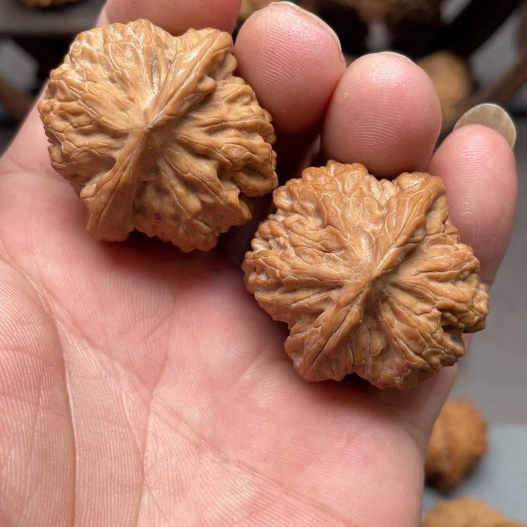 桃核吊坠37全品野生龙珠