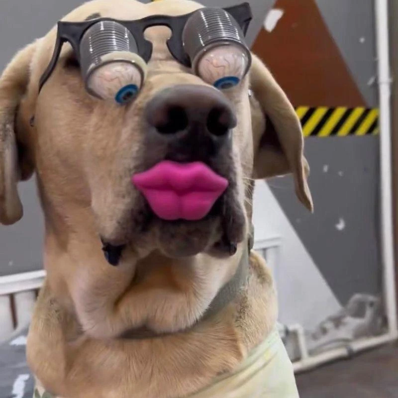 弹簧眼镜搞怪搞笑掉眼球弹眼珠宠物玩具整人道具万圣节恶搞整蛊