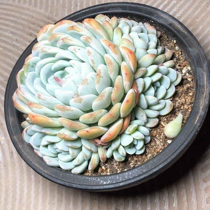 ?****?34/////////：：/////////