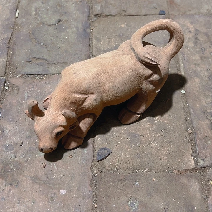 香榧木88888888888888