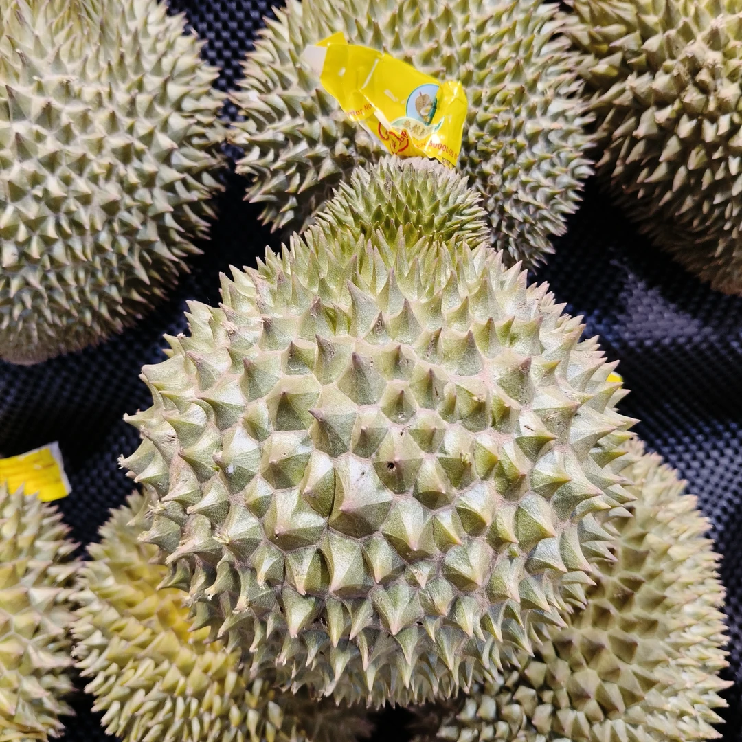 新鲜托曼尼榴莲2个（核大3-4斤左右）没有备注默认剥榴莲同城送榴莲同城送托曼尼泰国