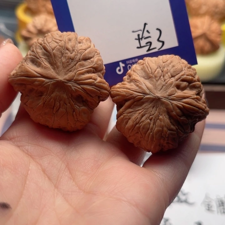 把件文玩核桃帝**夏文玩核桃3