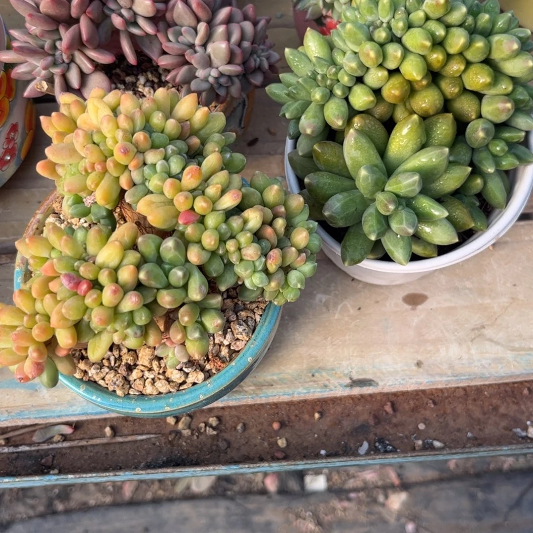 ****咔1111111111111111111