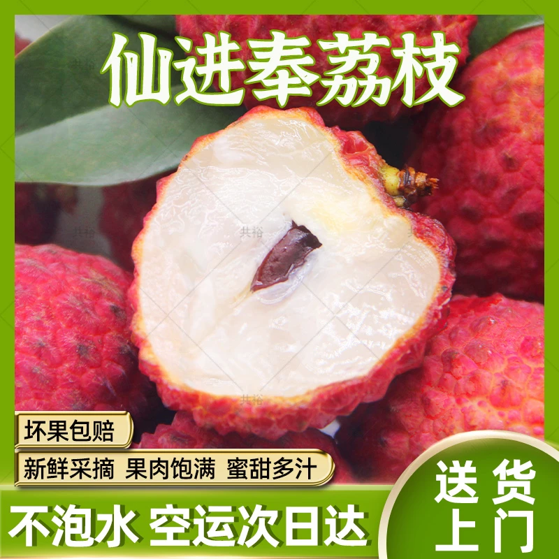【顺丰次日达】现摘仙进奉荔枝王后广东增城发货现摘新鲜不泡水应季水果整箱1/3/5斤包邮荔枝同城送
