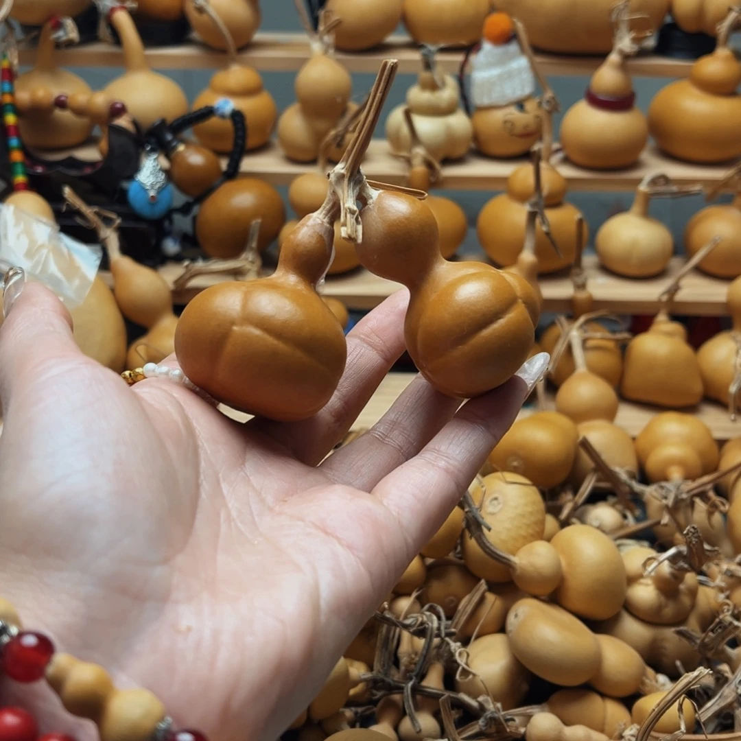 小海龟连枝老皮38.8秒拍。