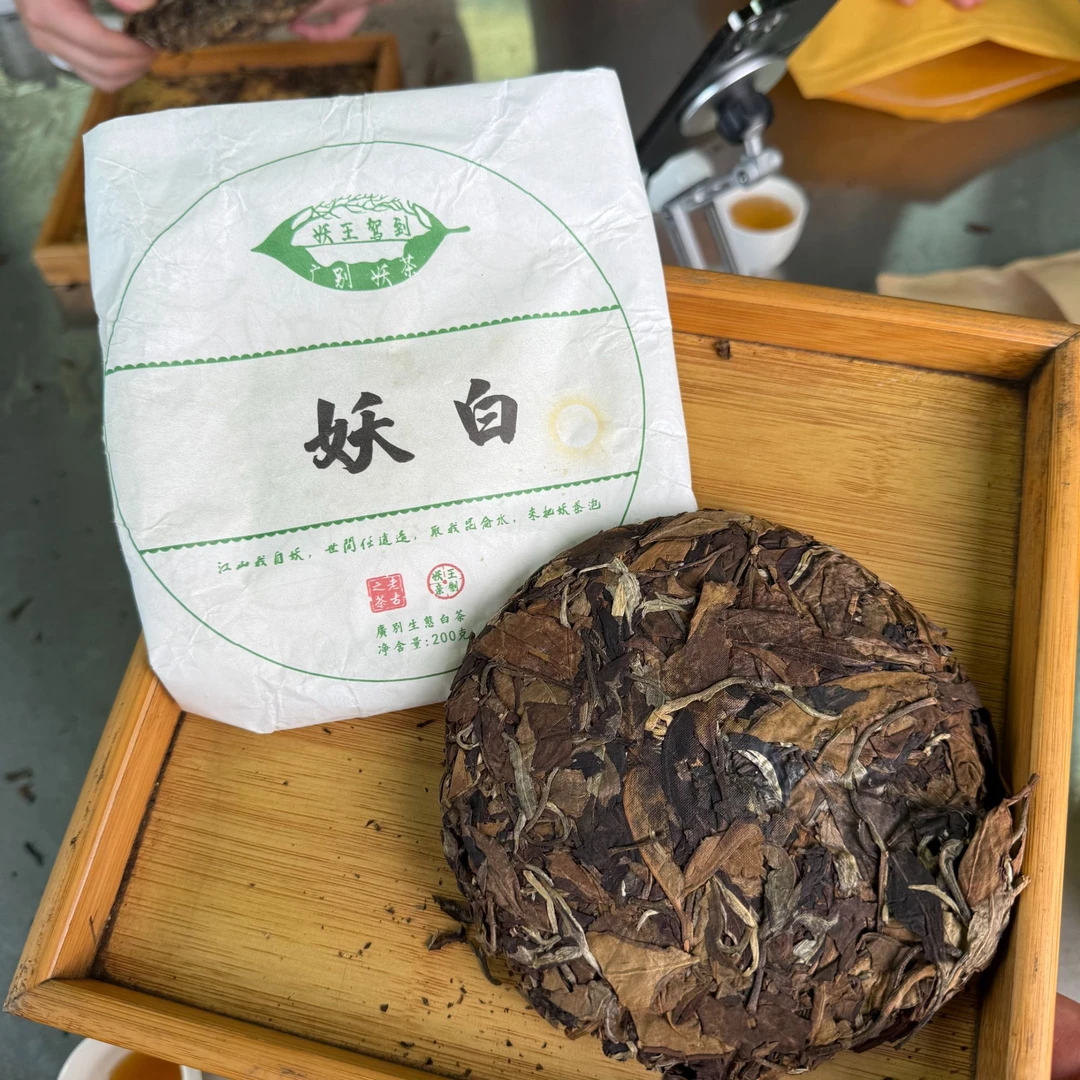 【7.31】勐海茶区 2024布朗山系 广别老寨 古树白茶 春 饼茶 【010】