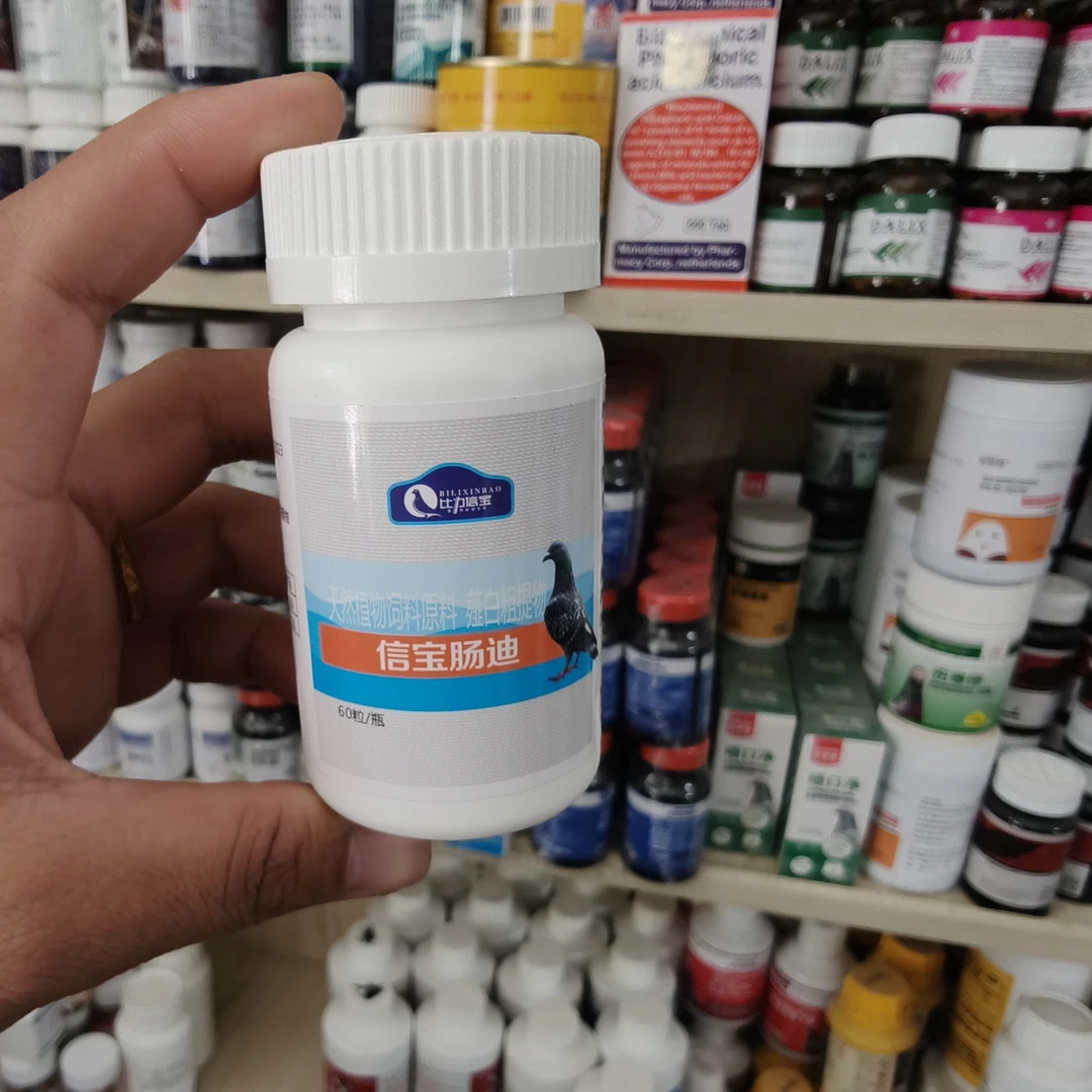 ALTunToga鸽子 CHANGDI ﺷﯩﻨﺒﺎﯞ ﻗﻮﺭﺳﺎﻕ ﺋﺎﻏﺮﯨﻖ ﺗﺎﺑﻠﯧﺘﻰ