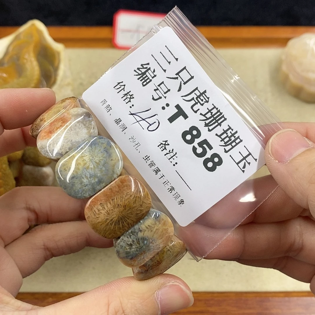 硅化珊瑚（珊瑚玉）1未镶嵌小****a