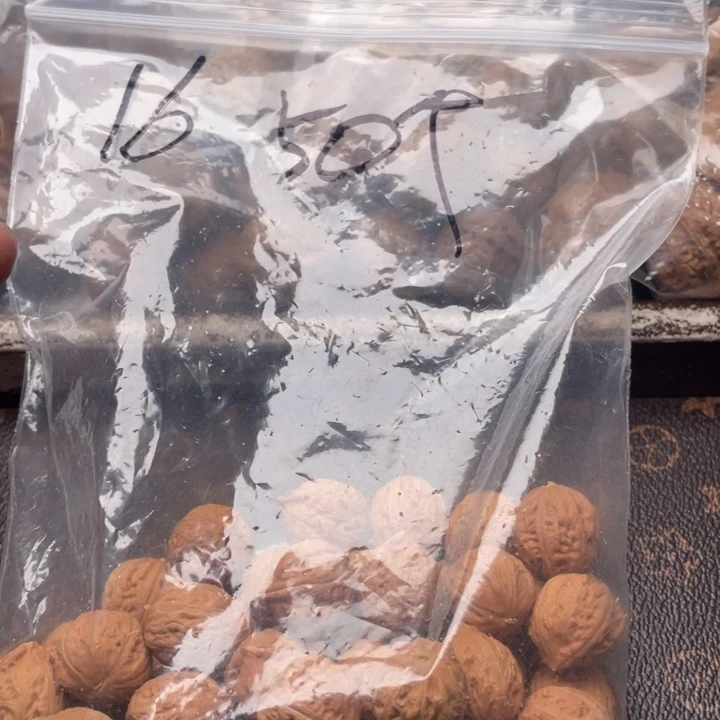 【闪购商品】核桃其他私人定制,不退不换258米