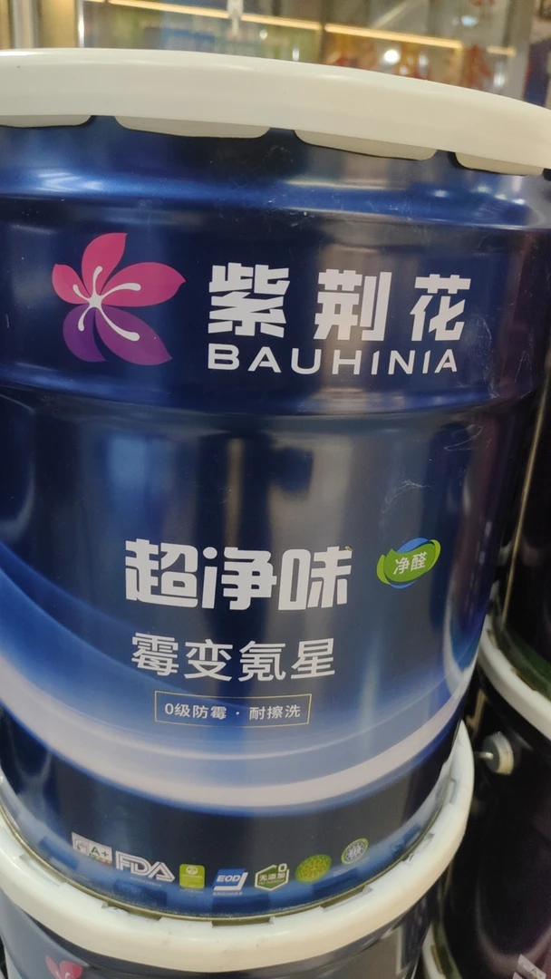 紫荆花乳胶漆霉变克星18升