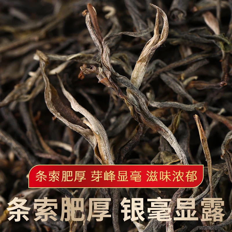 2024年（一扇磨-炮竹箐）森林高杆古树头春普洱生茶散茶