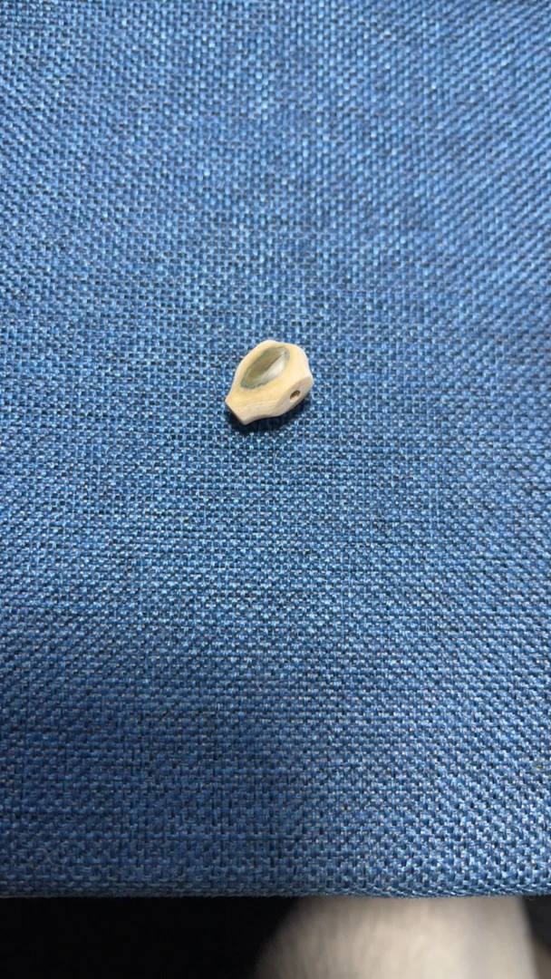 猛犸牙三通一个小尺寸