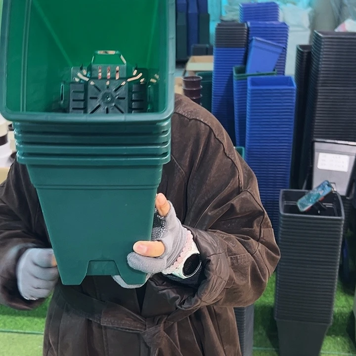 特价方盆口16高18墨绿无托5只