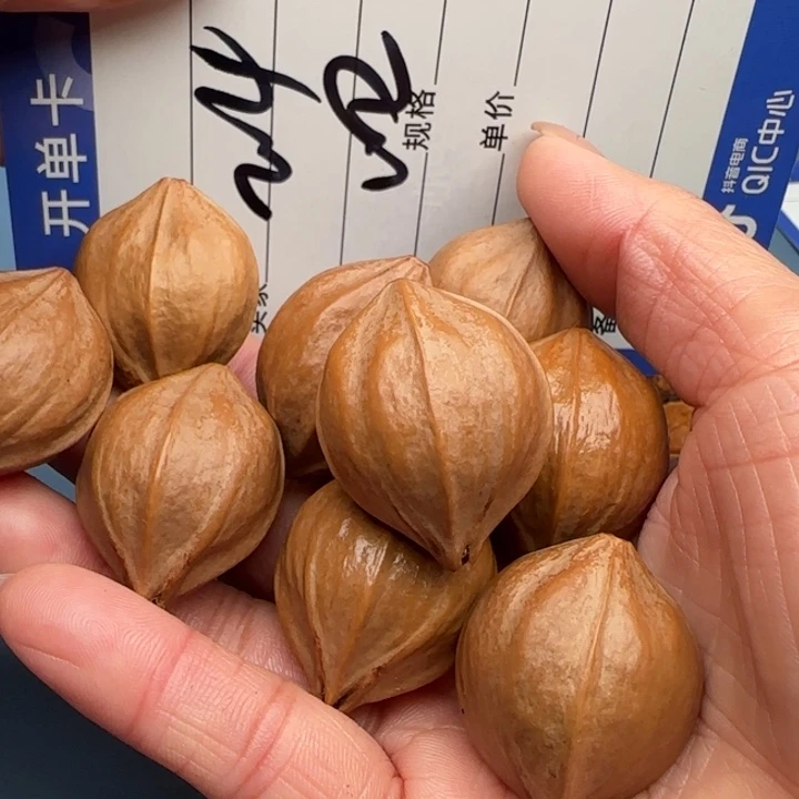 是***鸭橄榄核手串橄榄核