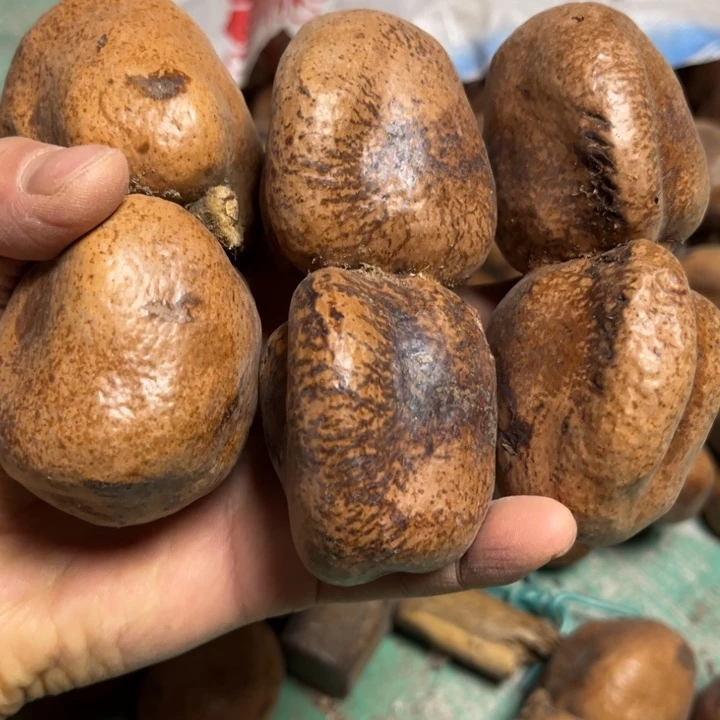 千眼菩提吊坠佛心果双胞胎。3个