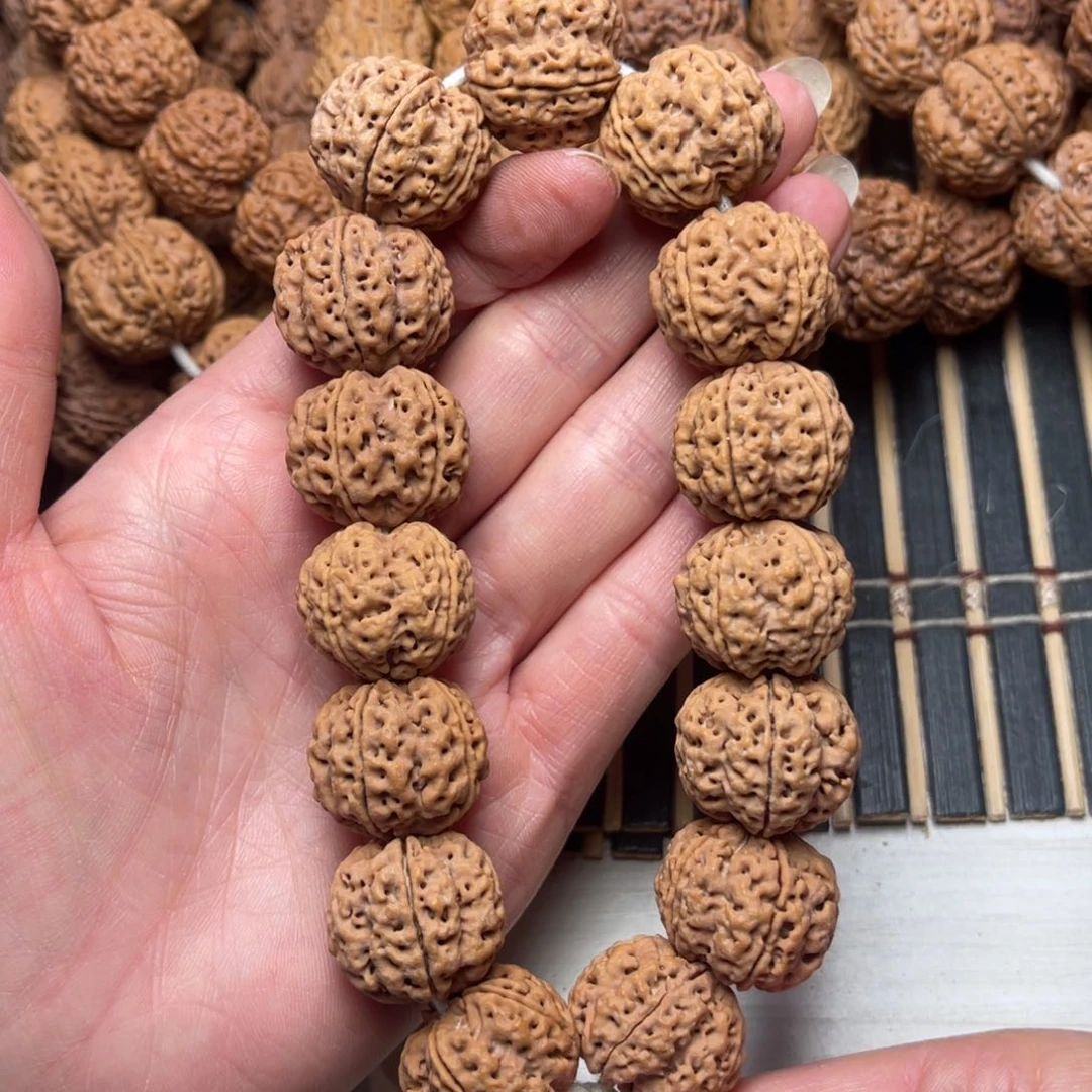 菩提29号金刚菩提梁梅花双龙22