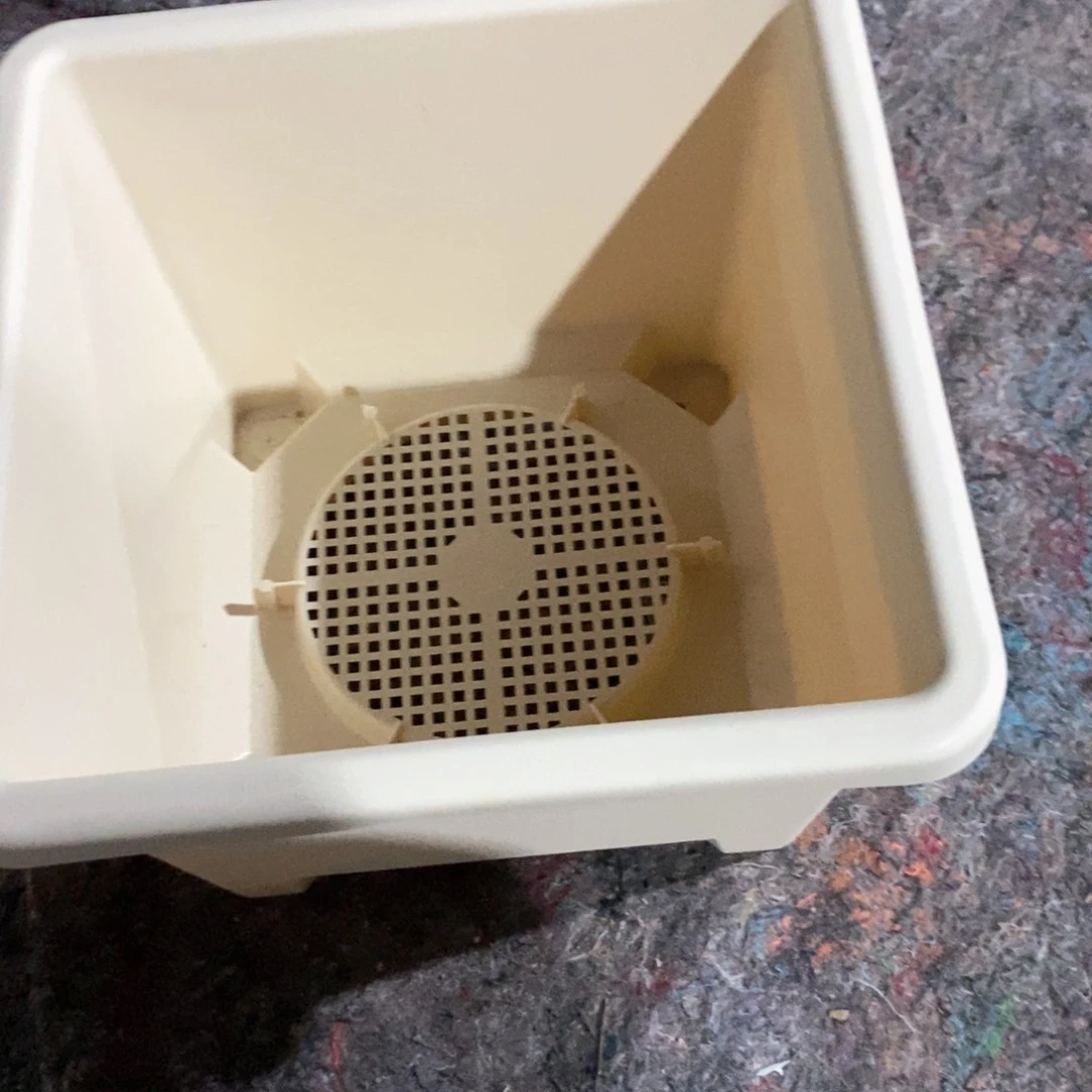 4个27口米色方球根无托