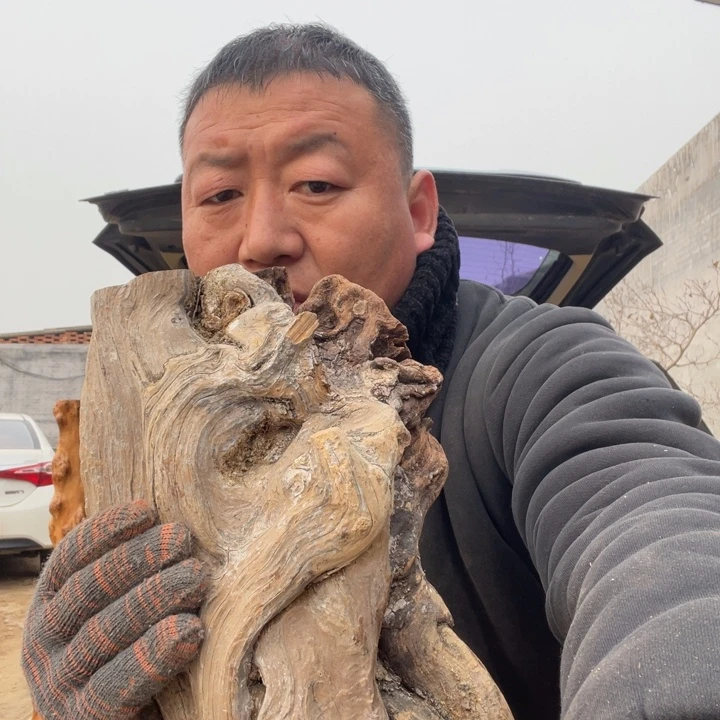 柏木（崖柏）啊啊啊啊啊啊啊啊