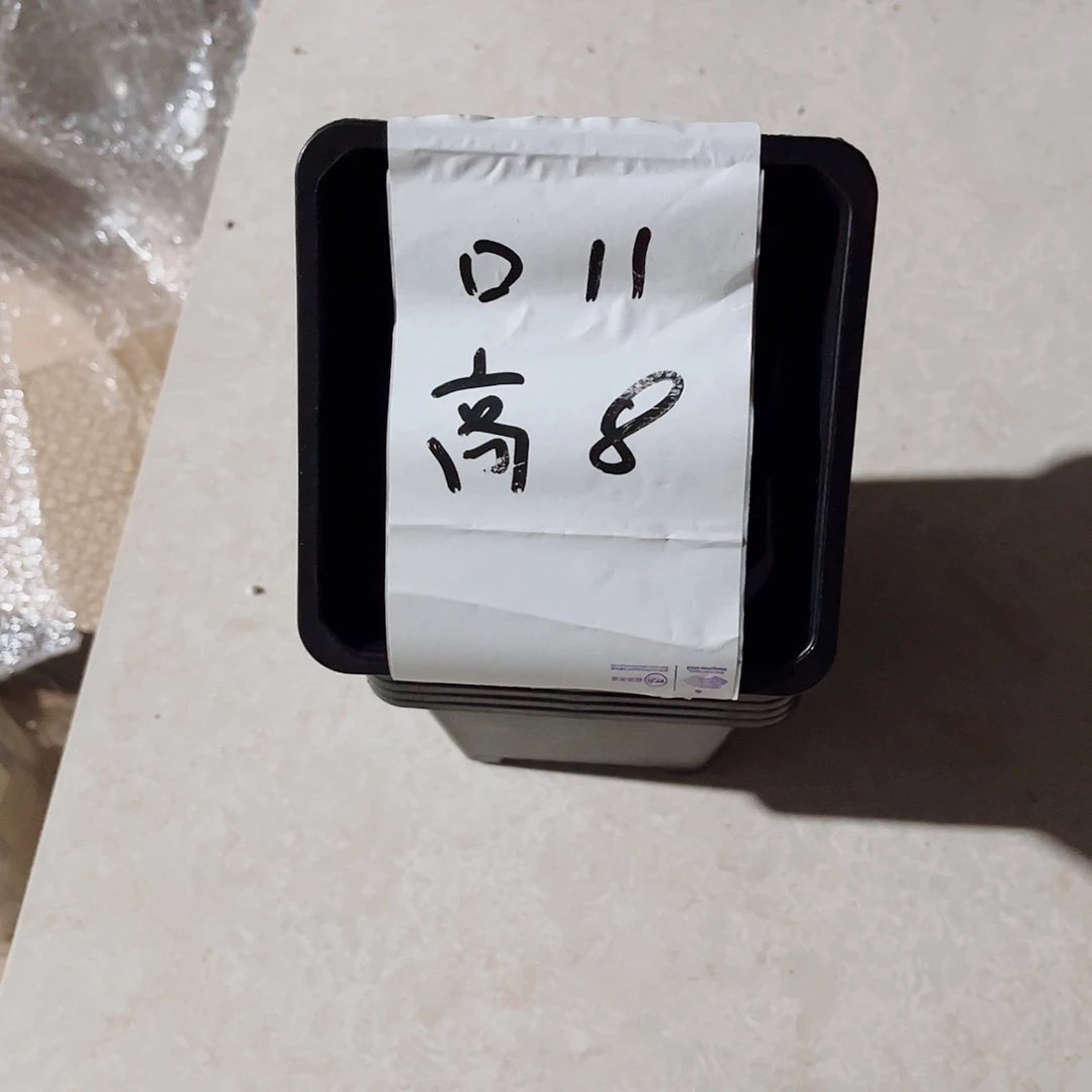 塑料福利款11方黑色盆25个无托