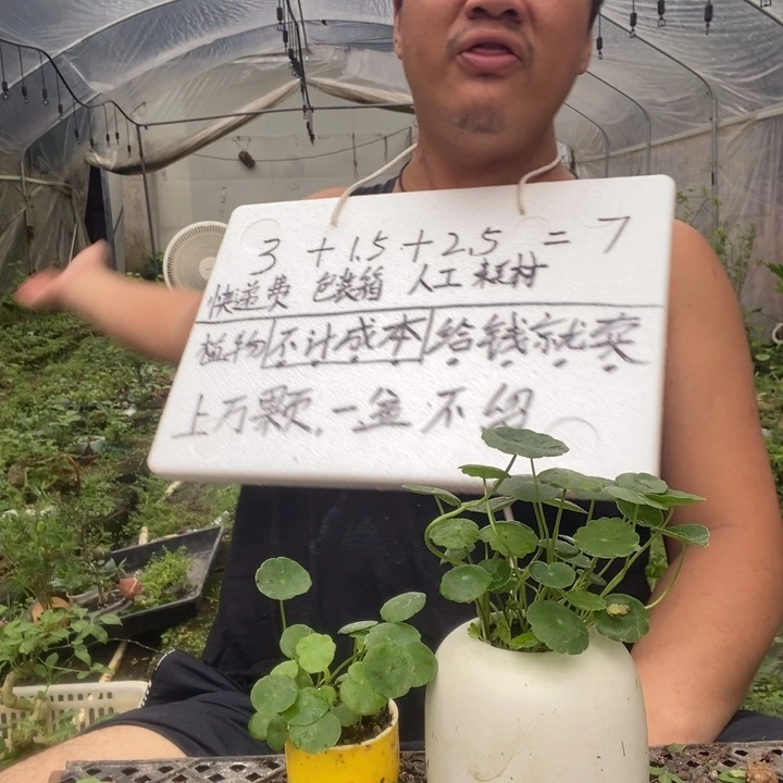 退款拉黑一物一拍358