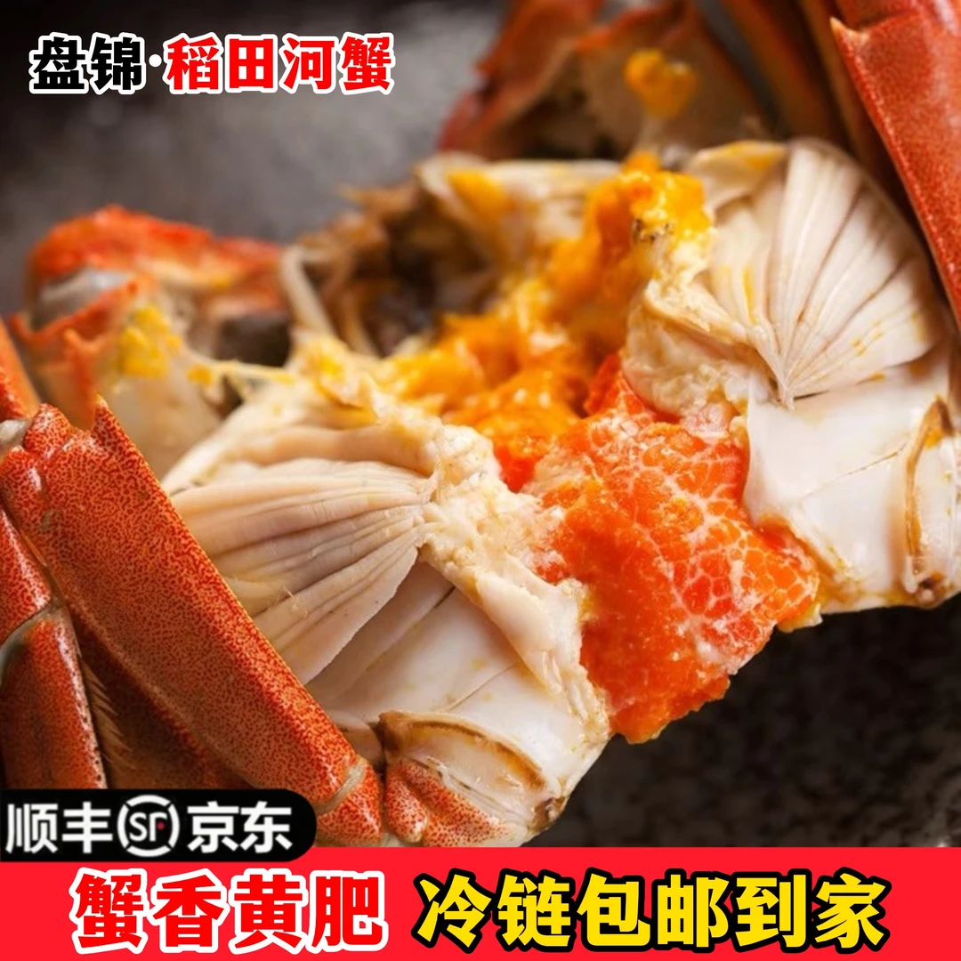 【活蟹】盘锦河蟹 纯母蟹（1.1-0.8两） 到手30只 正宗稻田蟹死蟹包赔