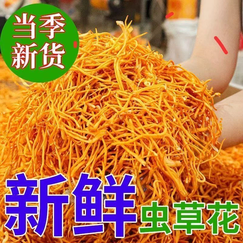 【一斤/两斤】东北虫草花鲜货深山无添加剂原产地孢子新鲜菌菇 Z