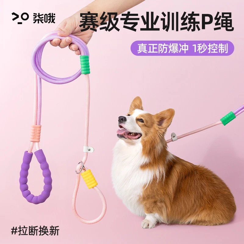 狗狗牵引绳防爆冲p绳中小型犬防挣脱链大型犬拴狗绳套脖遛狗训犬