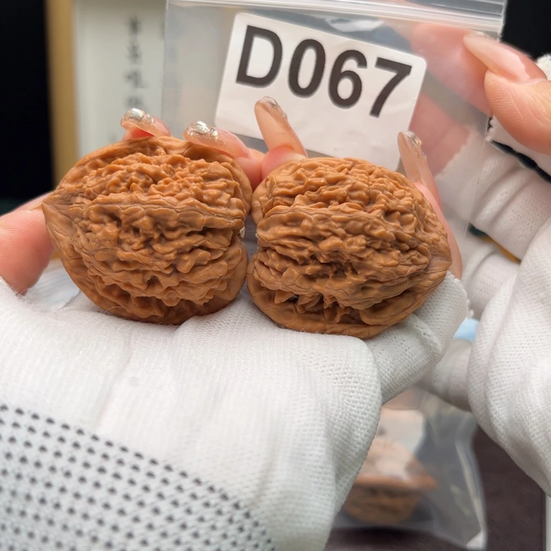 文玩核桃把件41蚂蚁王d067