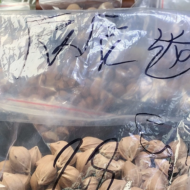 吊坠橄榄核辰**选苏州橄榄核手串手链