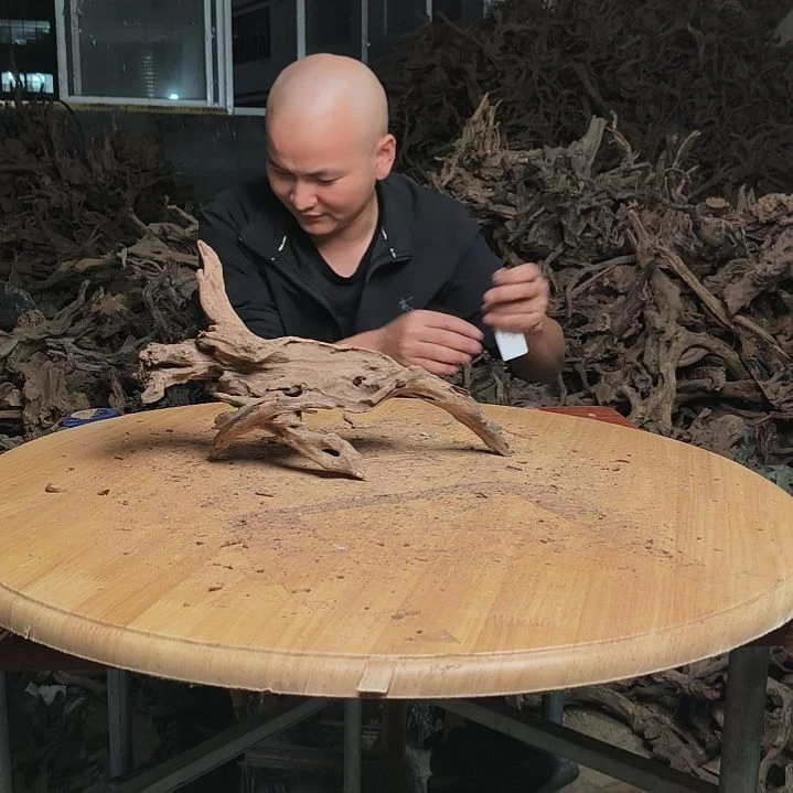 木鱼缸 造景水库 杜鹃根181