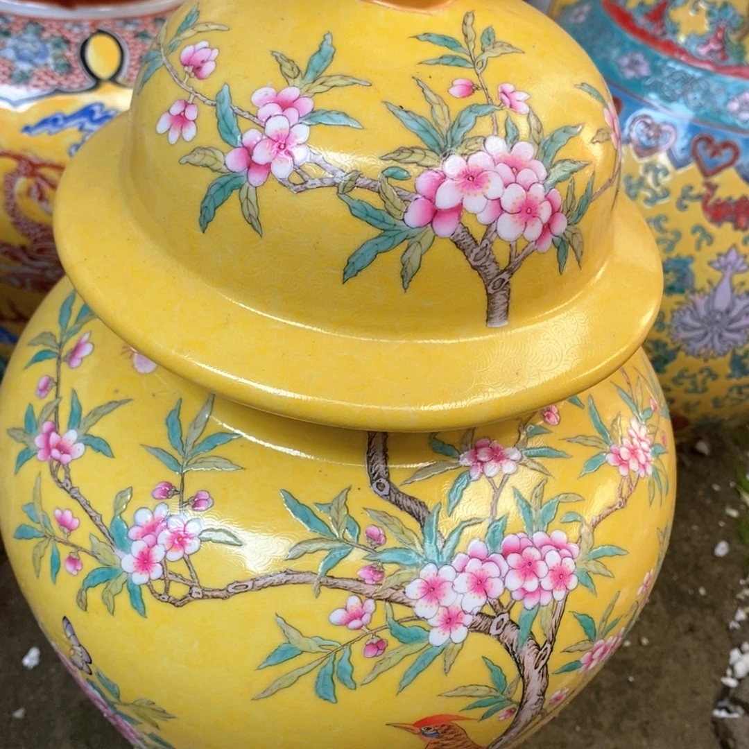 纯纯粹粹瓷c瓷瓷vvv瓷