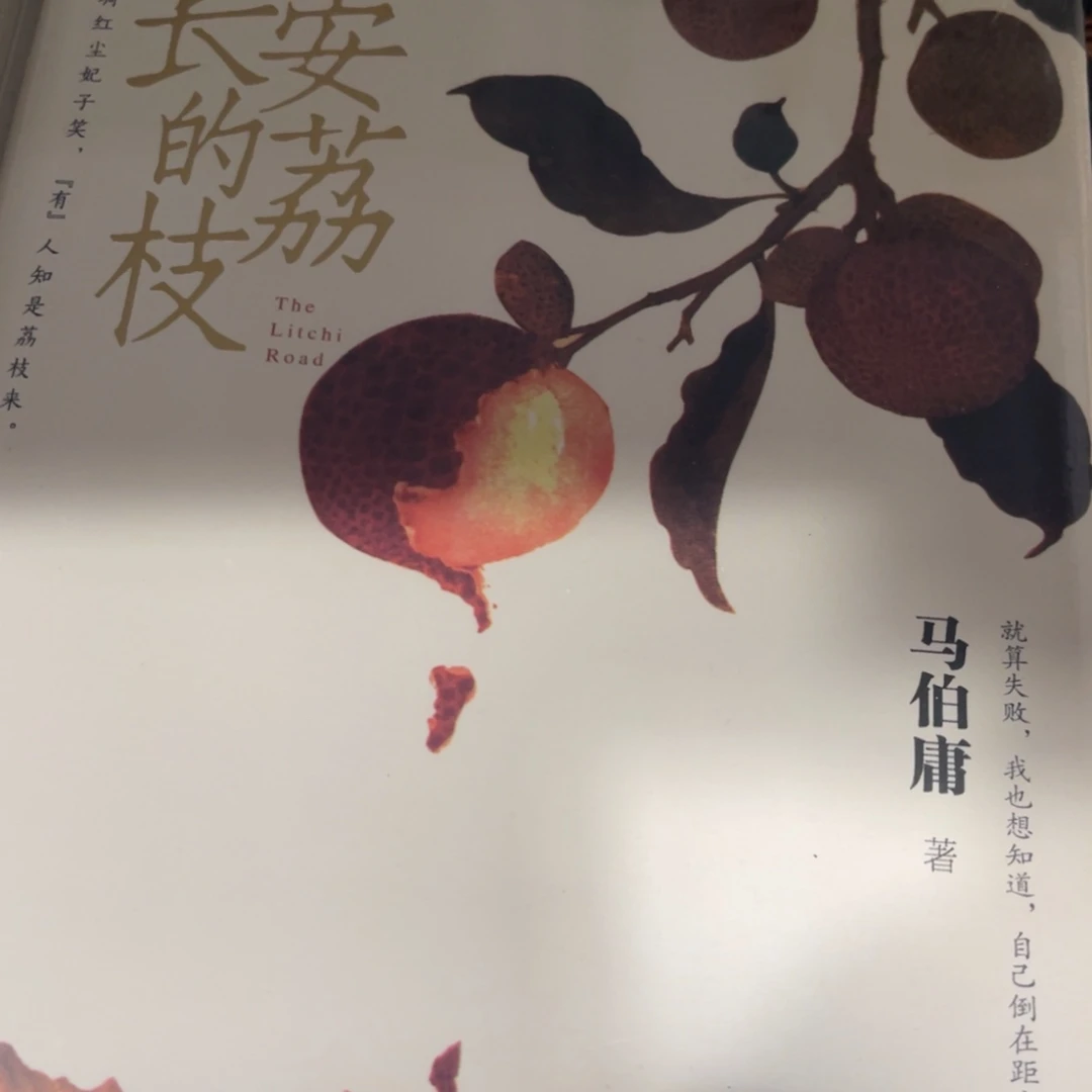 长安的荔枝精装一个