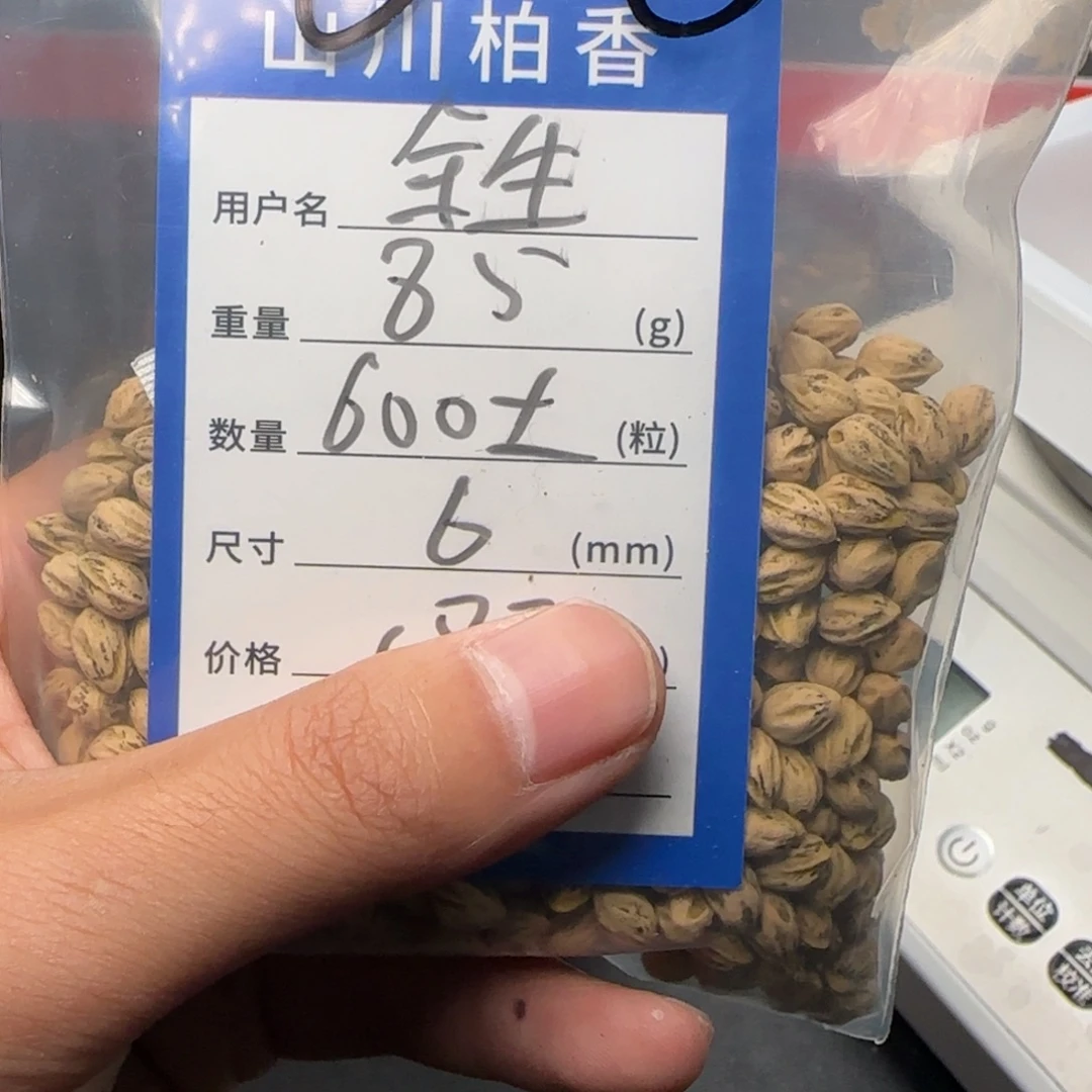 余***手柏香籽/百香籽吊坠