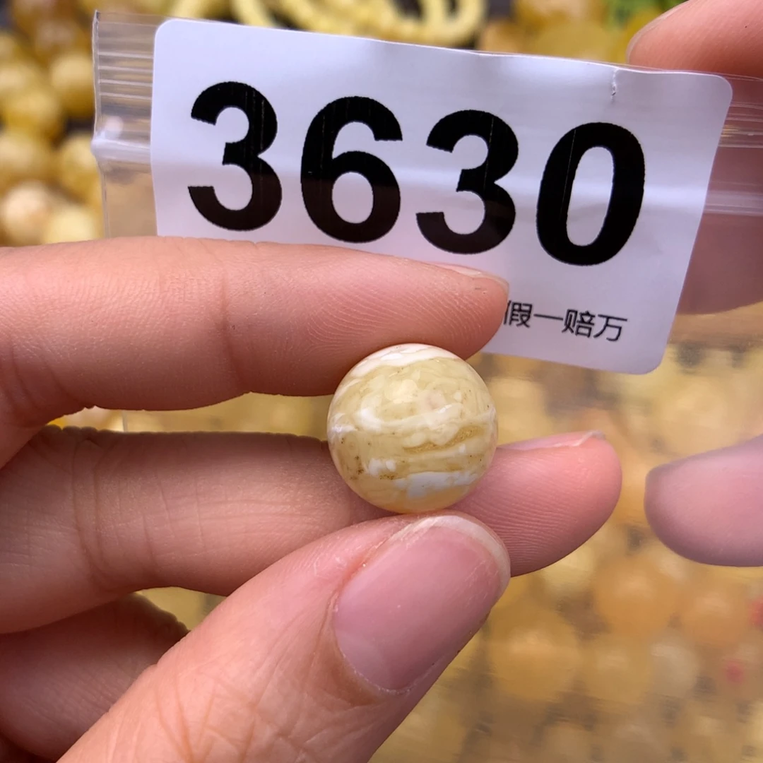 未镶嵌蜜蜡珠宝奇石14.6