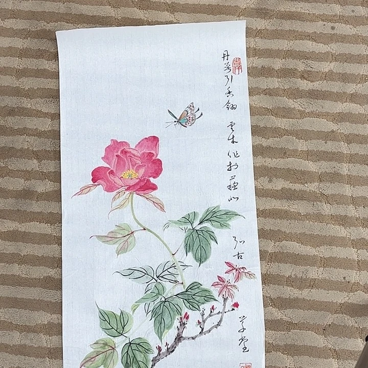 国画花鸟的翅膀是一