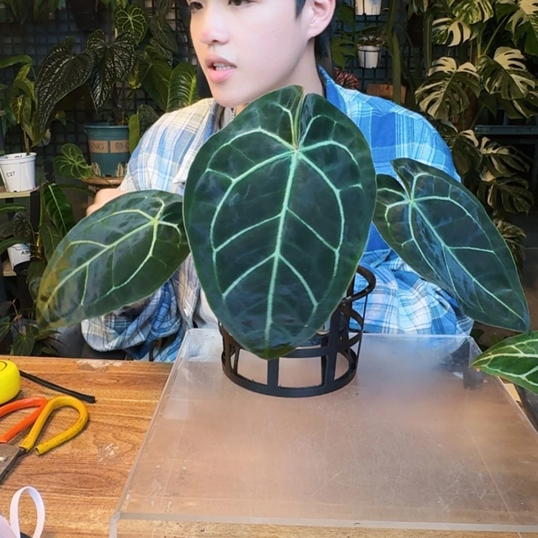 O***卡完全开放一物一拍O 73