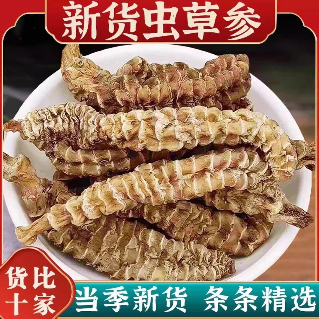 云南高海拔【虫草参】500g