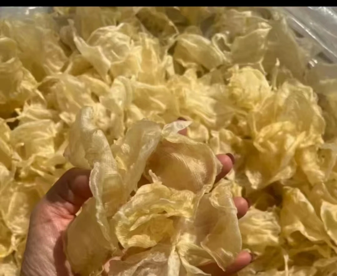 白花胶深海野生精选